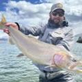 Lahontan Cutthroat — 